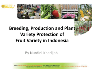 Situation on Breeding, Production and PVP of Fruit Variety