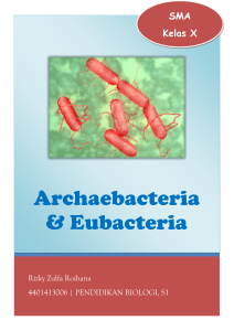 Modul Bakteri dan Archaebacteria