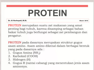 protein - File UPI