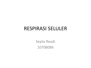 RESPIRASI SELULER