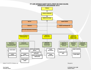 struktur organisasi 2015 pt aini (rumah sakit mata