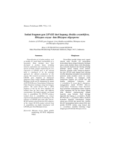 Isolasi fragmen gen LIPASE dari kapang Absidia corymbifera