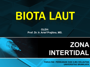 BIOLA 1 estuari - Prof.Dr.Ir.Arief Prajitno, MS