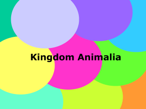 Kingdom Animalia - Teknologi Pangan UNIMUS
