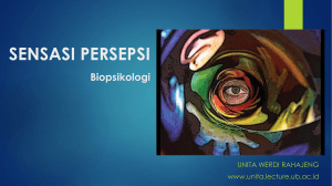 SENSASI PERSEPSI