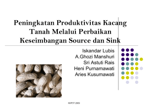 Peningkatan Produktivitas Kacang Tanah melalui