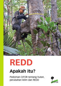 Pedoman CIFOR tentang hutan, perubahan iklim dan REDD