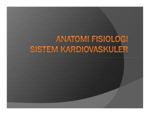ANATOMI FISIOLOGI KARDIOVASKULER File