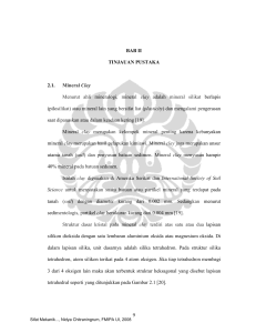 9 BAB II TINJAUAN PUSTAKA 2.1. Mineral Clay Menurut ahli