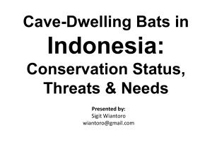 Cave-Dwelling Bats in Conservation Status, Threats