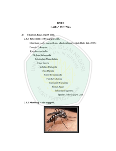 BAB II KAJIAN PUSTAKA 2.1 Tinjauan Aedes aegypti Linn. 2.1.1