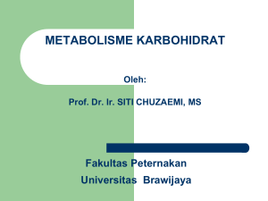 metabolisme karbohidrat - Blog UB