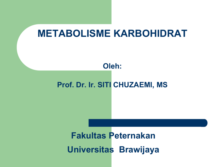 Metabolisme Karbohidrat - Blog UB