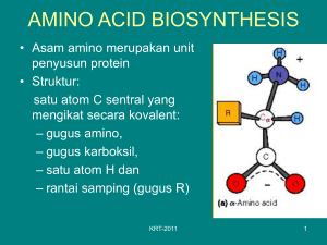 amino acid biosynthesis