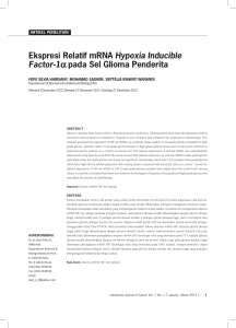 Ekspresi Relatif mRNA Hypoxia Inducible Factor