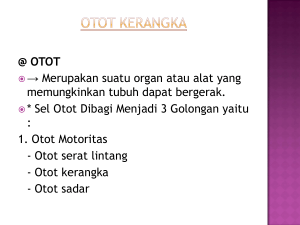 @ OTOT ®→ Merupakan suatu organ atau alat yang memungkinkan
