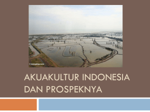 Akuakultur Indonesia dan Prospeknya