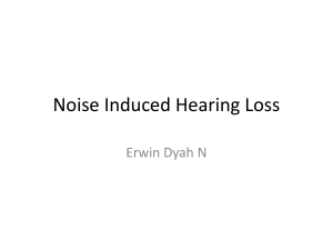 Noise Induced Hearing Loss