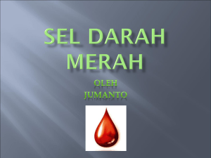 Sel darah merah