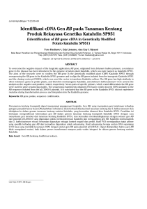Identifikasi cDNA Gen RB pada Tanaman Kentang Produk