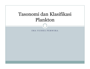 Tasonomi dan Klasifikasi Plankton