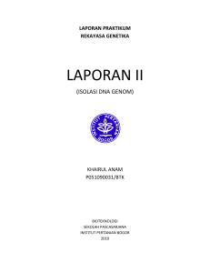 LAPORAN II