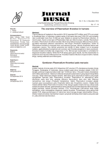The overview of Plasmodium Knowlesi in humans Gambaran