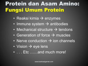 Protein dan Asam Amino: