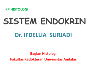 SISTEM ENDOKRIN