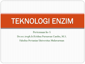 TEKNOLOGI ENZIM