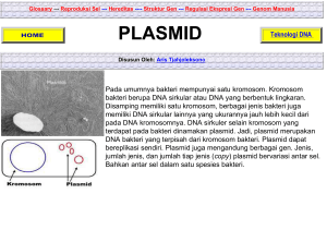 plasmid - PPKU IPB