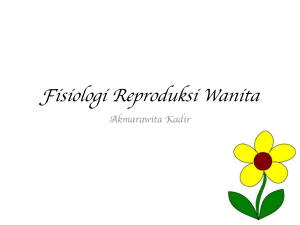 Fisiologi Reproduksi Wanita !!