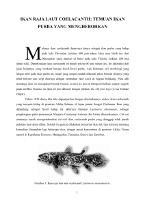 ikan raja laut coelacanth: temuan ikan purba