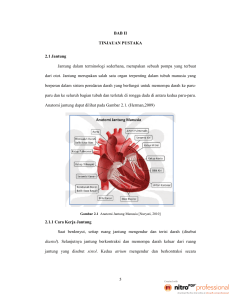 5 BAB II TINJAUAN PUSTAKA 2.1 Jantung Jantung dalam