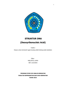 STRUKTUR DNA - Web Maslihatul Umah