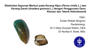 Depurasi Logam Berat pada Kerang Hijau