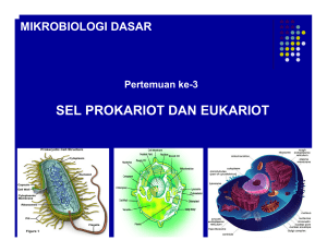 mikrobiologi umum - Prof. Ir. Usman Pato, MSc. PhD.