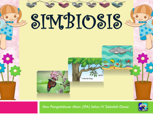 SIMBIOSIS new - WordPress.com