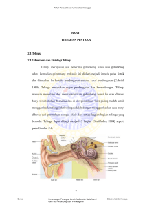 BAB II TINJAUAN PUSTAKA 2.1 Telinga 2.1.1 Anatomi dan Fisiologi