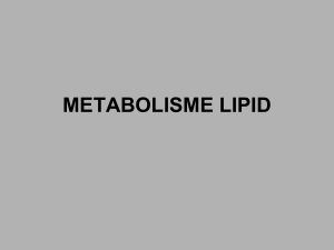 metabolisme lipid