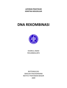 DNA REKOMBINASI