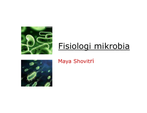 Fisiologi mikrobia