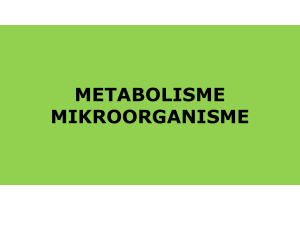 metabolisme bakteri