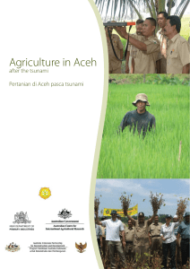 Aceh project brochure - proyek brosur