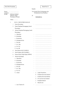 FORM LAPORAN INFORMASI INDUSTRI model VI