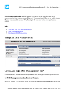 Tampilan DNS Management Untuk Apa Saja DNS