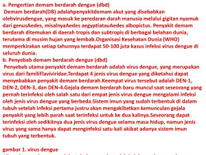 Simulasi diagnostik demam berdarah dengue (DBD)