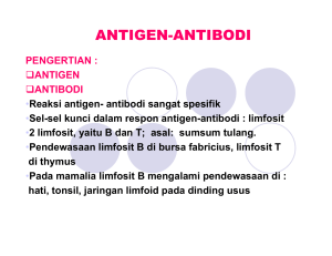 antigen-antibodi