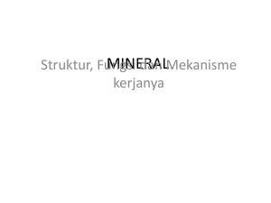 mineral - WordPress.com