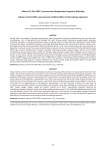 6.jkb123 - Jurnal Kedokteran Brawijaya